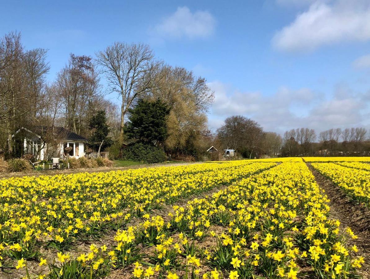 Vila Klein Langeveld Noordwijkerhout Exteriér fotografie