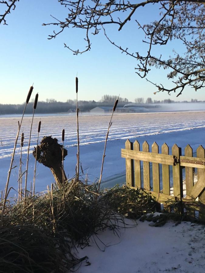Vila Klein Langeveld Noordwijkerhout Exteriér fotografie
