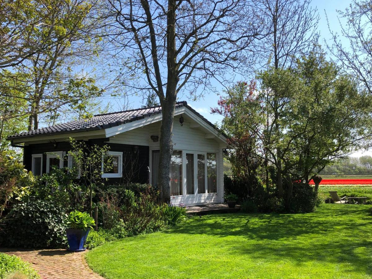 Vila Klein Langeveld Noordwijkerhout Exteriér fotografie