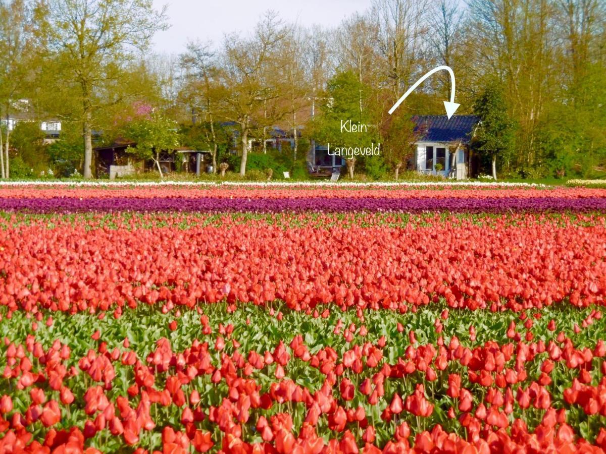 Vila Klein Langeveld Noordwijkerhout Exteriér fotografie